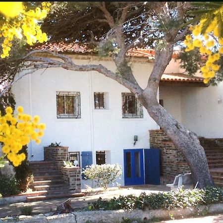 Villa Bleue - Les Pins Port Vendres Exterior foto